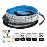 Tira LED 24V RGBW y WW interior 60leds SMD5050 5 metros. Smart Light
